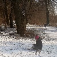 IMG_20190130_132001.jpg